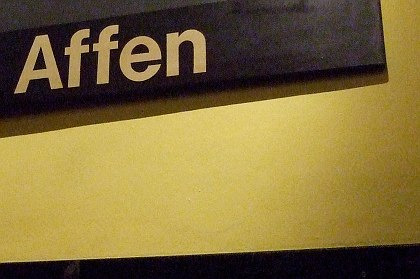 Affen im Café Affen im Café
