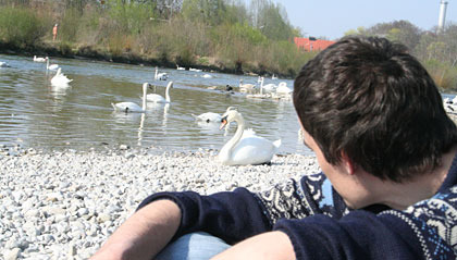 Isar Isar