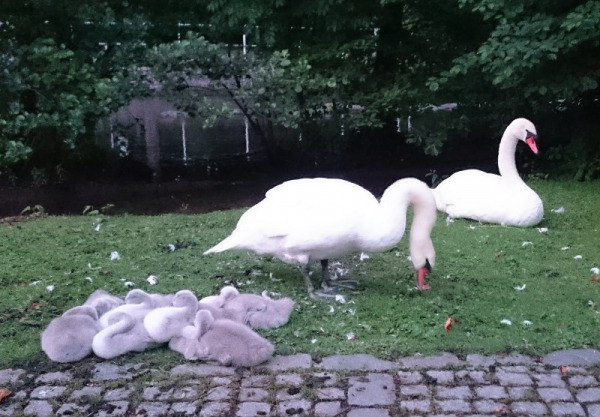 München, Du kannst so niedlich sein! (Foto: MünchenBlogger)