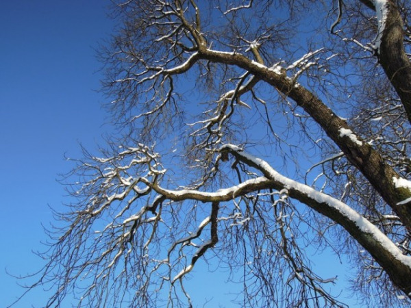 (Foto: muenchenblogger)