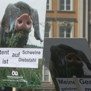 Demo gegen Bio- und Software-Patente