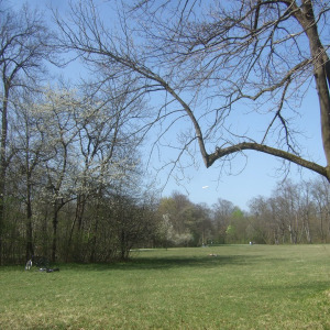 Hirschau