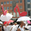 csd-2009-20