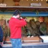 dachauer-volksfest-04