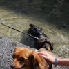 dackelwanderung-05