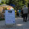 dackelwanderung-07