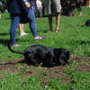 dackelwanderung-12