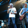 deep-purple-15