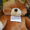 fruehlingsfest-2009-07