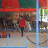 fruehlingsfest-2009-13