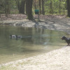Hirschau-02