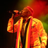 Jimmy-cliff-2013-04