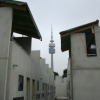 Bungalows im Olympiadorf