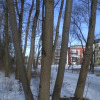 Pasinger-stadtpark-02