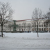 Schnee-01