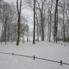 Schnee-05