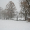 Schnee-06