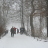 Schnee-07