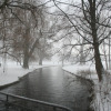 Schnee-08