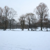 Schnee-17