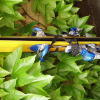 Schwabinger-hofflohmaerkte-04
