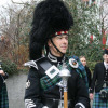 St. Patrick's Day 2008