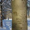 Winter-im-Egarten-02