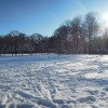 Winter-im-Egarten-05