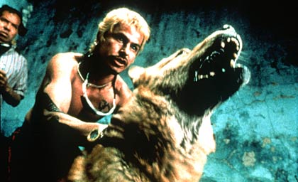 Foto Amores Perros