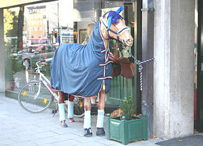 Foto Pferd in München
